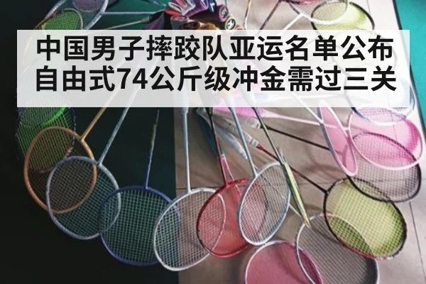 中国男子摔跤队亚运名单公布 自由式74公斤级冲金需过三关